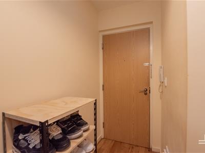 Picture 20